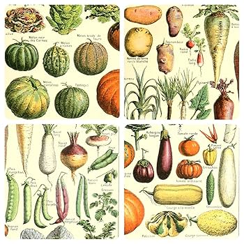 Amazon.com: Meishe Art 海報蔬菜印花復古廚房植物科學植物